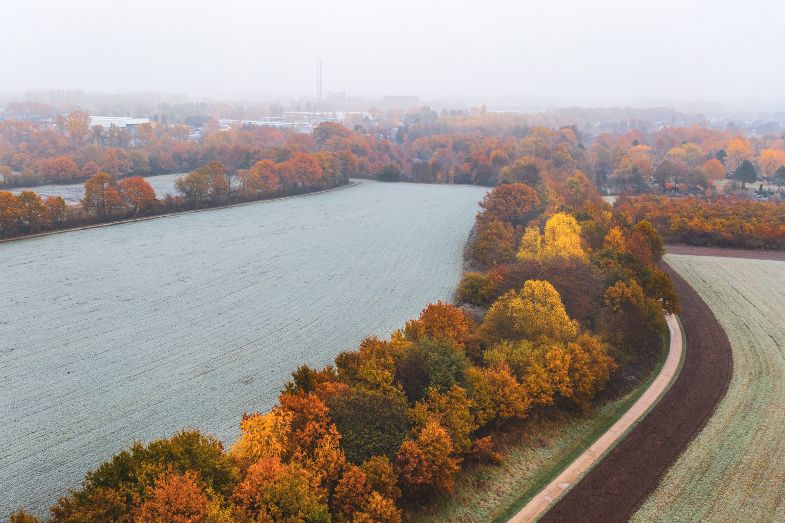 Misty morning in November 2019 above the fields near Bielefeld-Heepen.