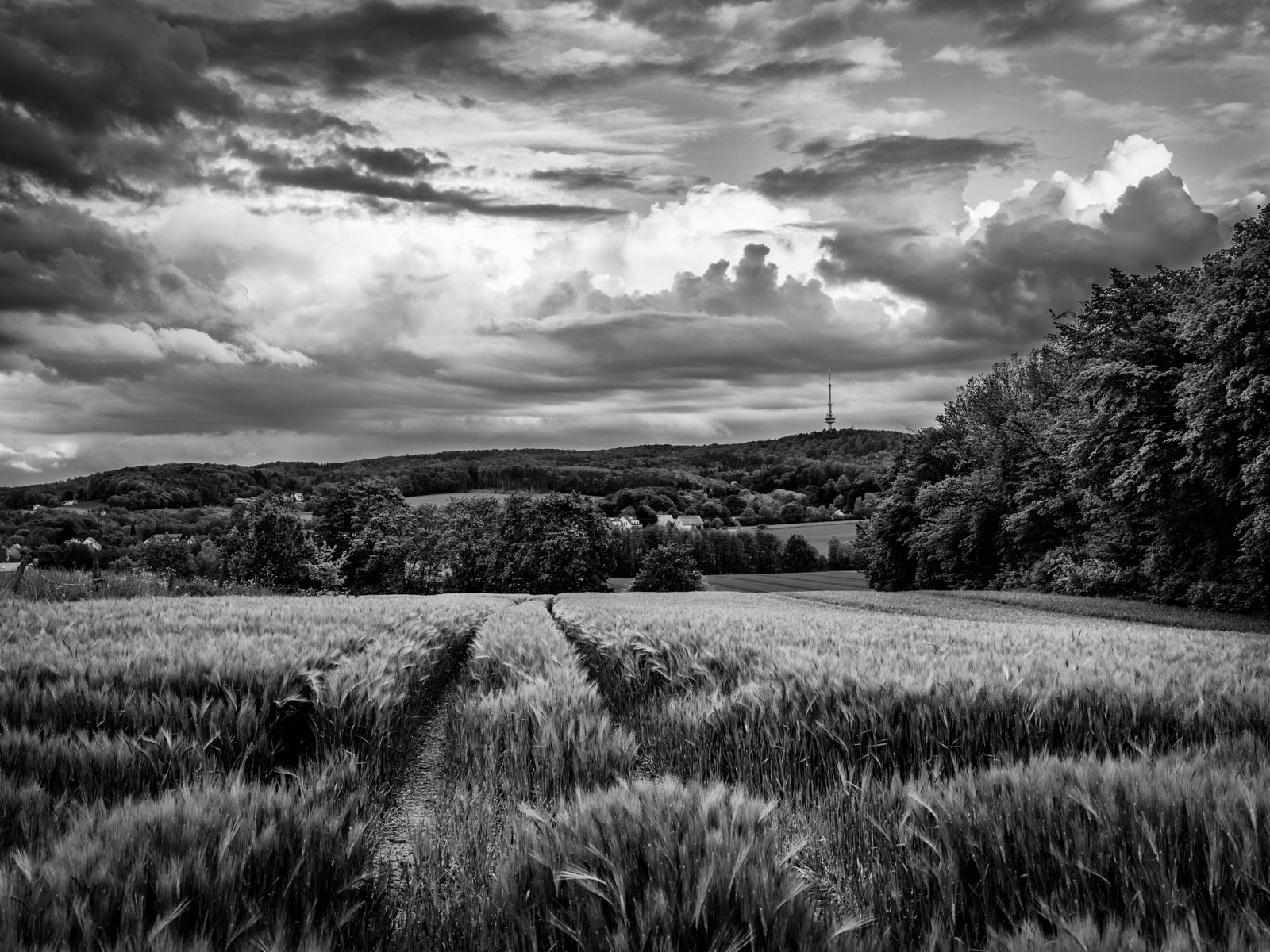 Fields at the Teutoburg Forest (Bielefeld, Germany)