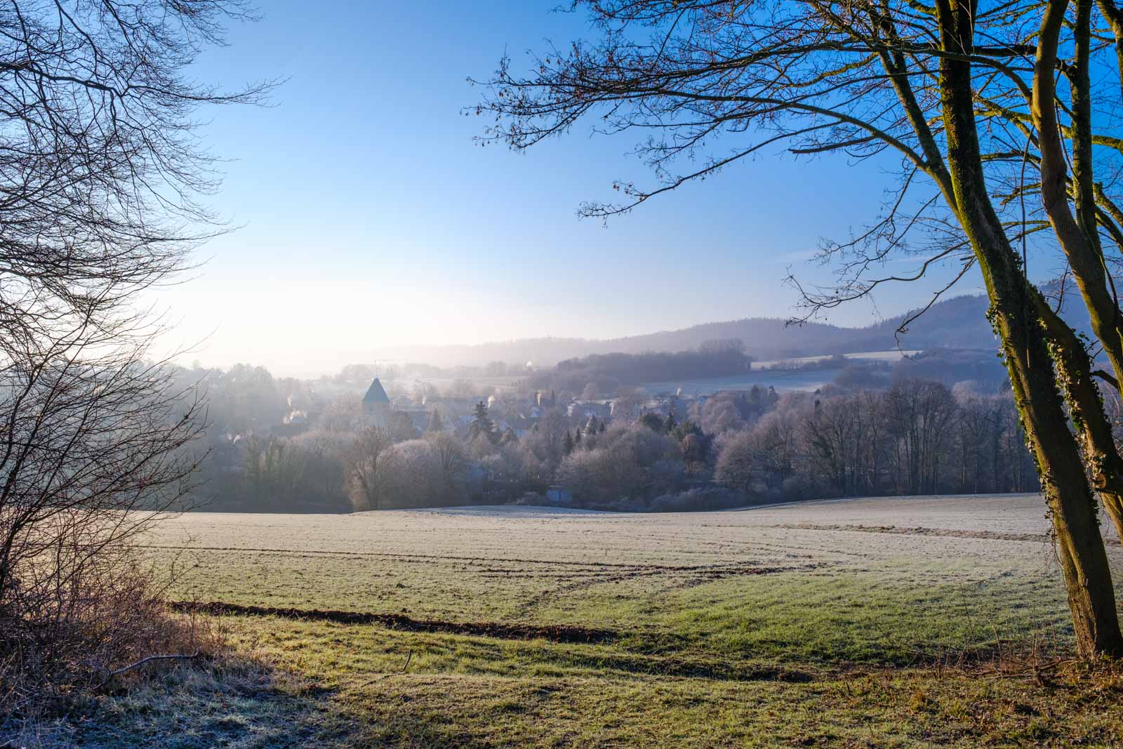 Winter morning at the Teutoburg Forest near Kirchdornberg (Bielefeld, Germany).