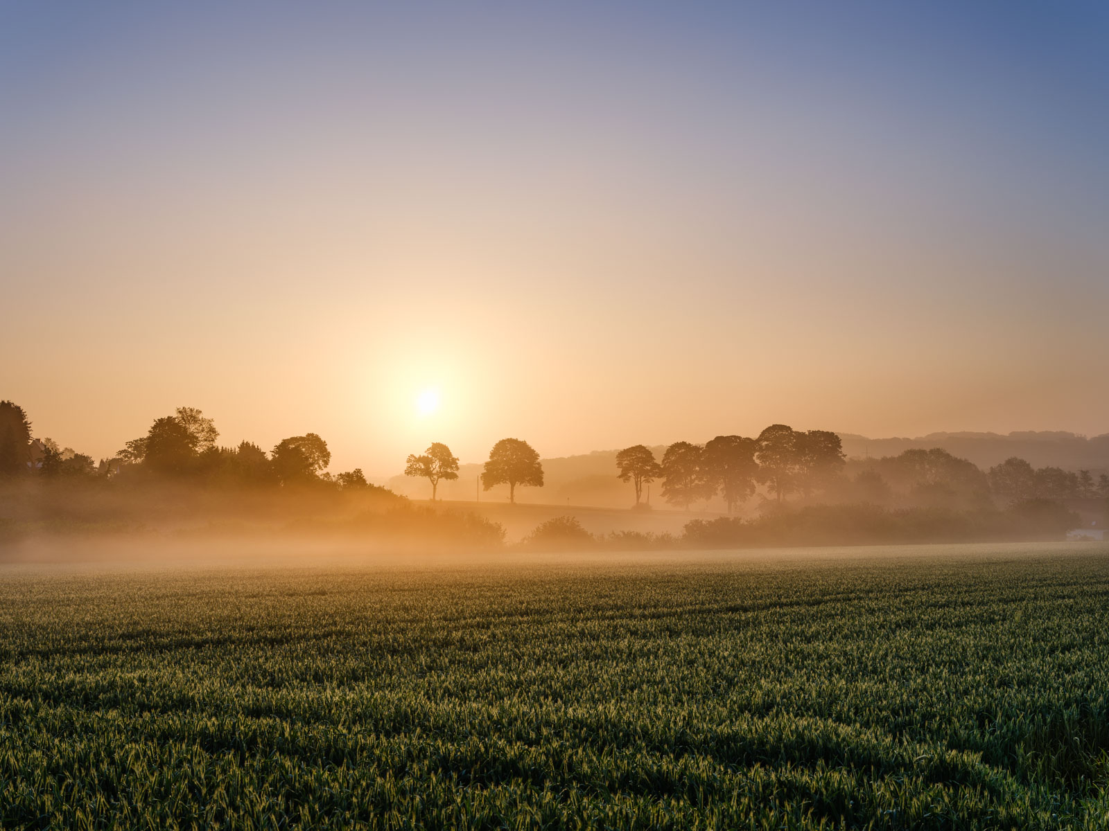 Spring sunrise near Kirchdornberg in May 2021 (Bielefeld-Dornberg, Germany).