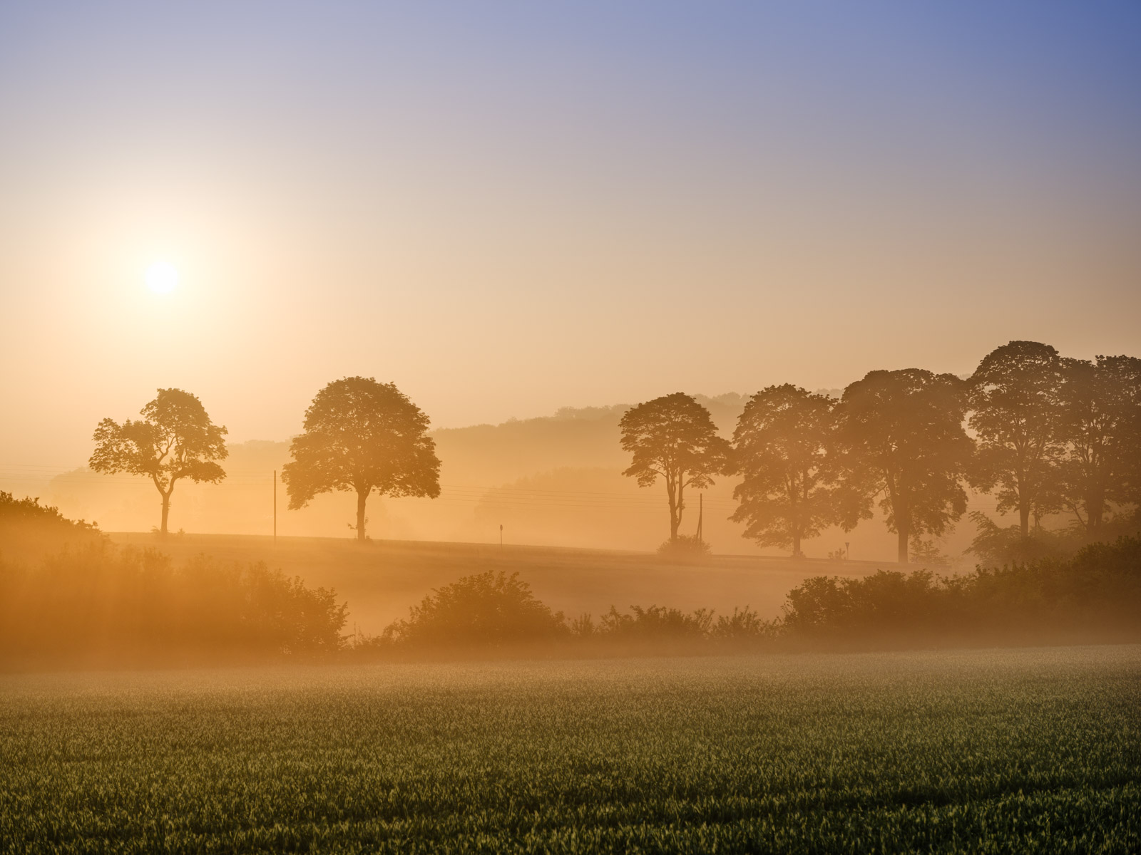 Spring sunrise near Kirchdornberg in May 2021 (Bielefeld-Dornberg, Germany).