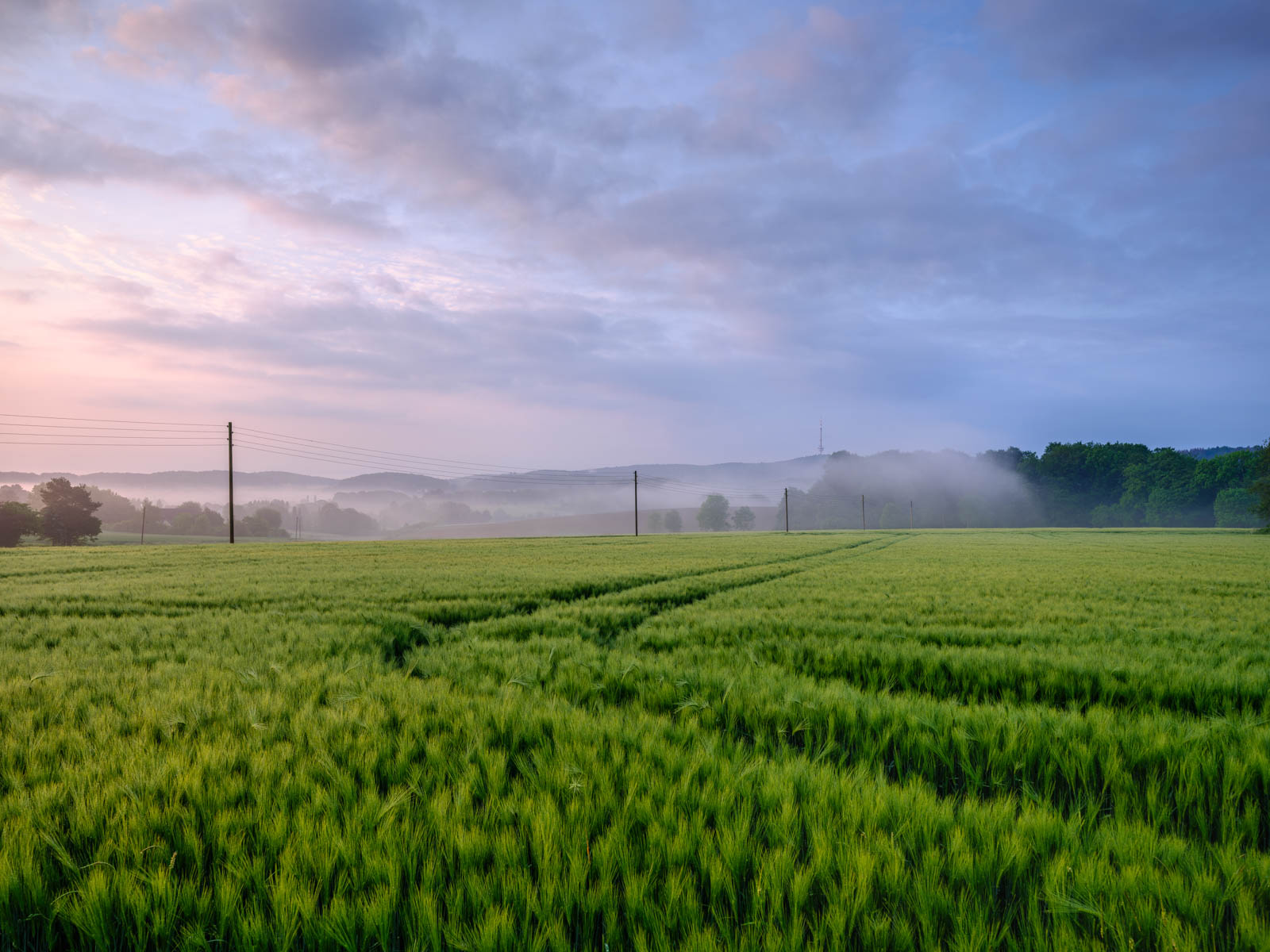 Dawn after a rainy night on June 4, 2021 (Bielefeld-Kirchdornberg, Germany).