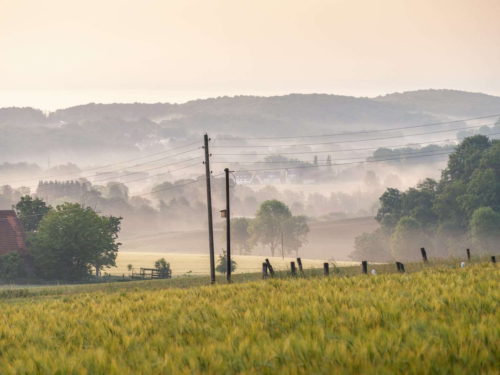 Morning haze over the fields at the Teutoburg Forest near Kirchdornberg on June 4, 2021 (Bielefeld, Germany).