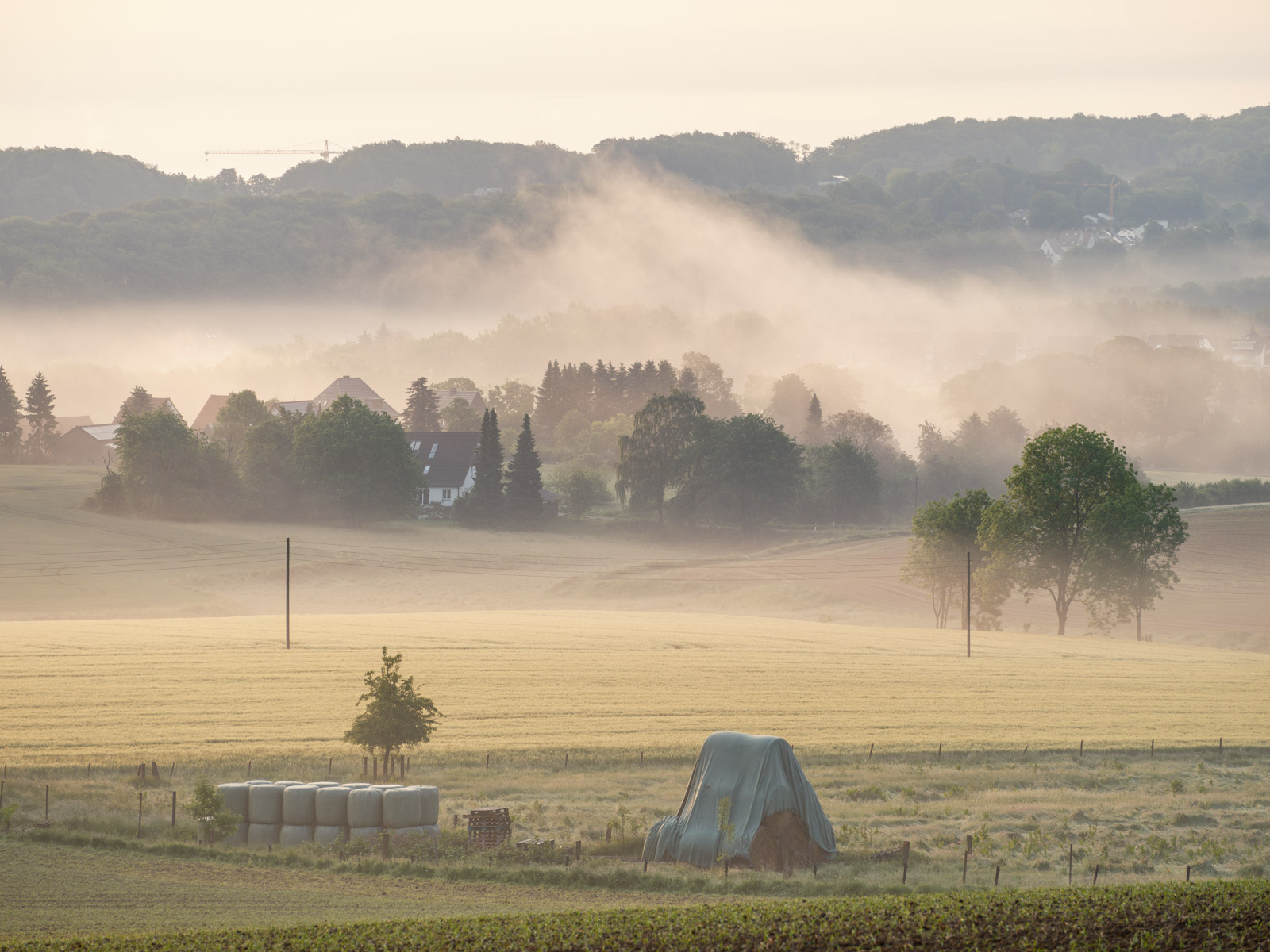 Morning haze over the fields at the Teutoburg Forest near Kirchdornberg on June 4, 2021 (Bielefeld, Germany).