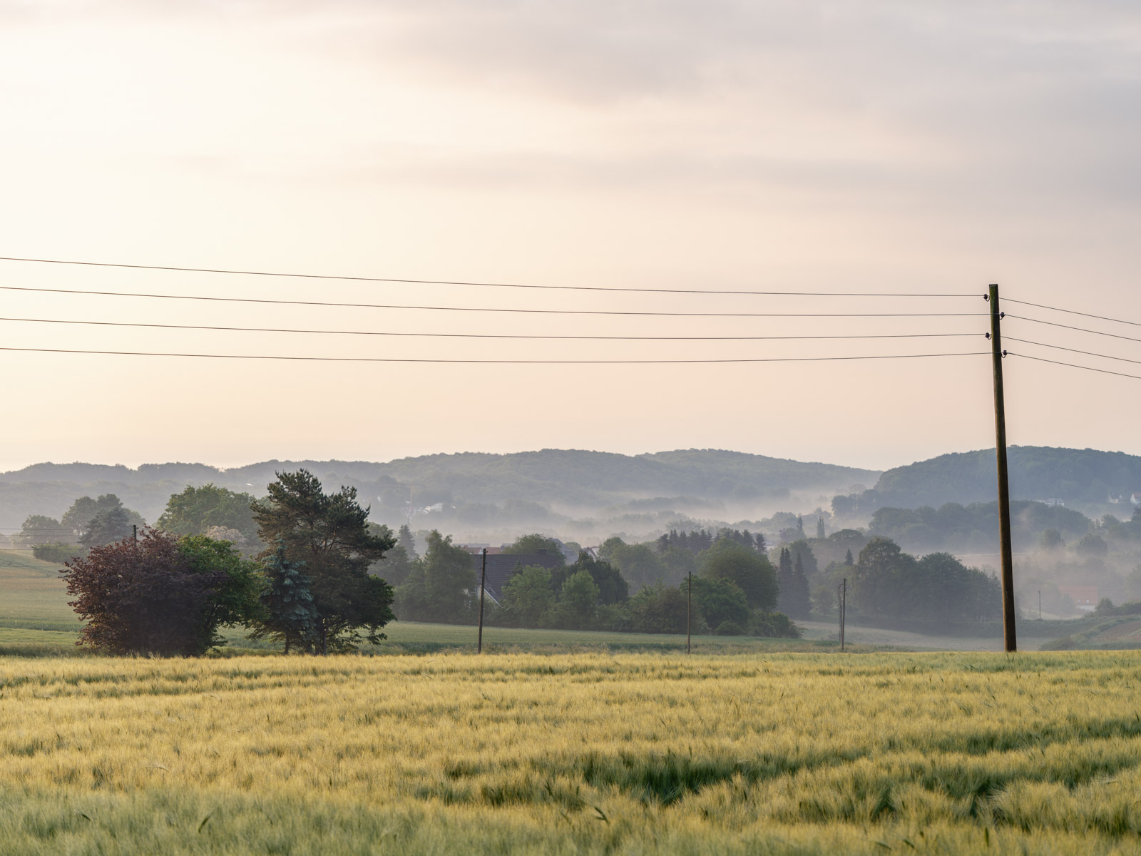 Morning haze over the fields at the Teutoburg Forest near Kirchdornberg on June 4, 2021 (Bielefeld, Germany).