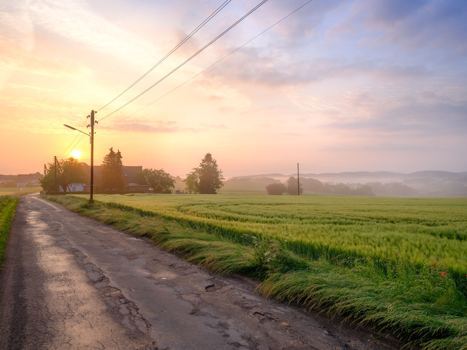 Sunrise after a rainy night on June 4, 2021 (Bielefeld-Kirchdornberg, Germany).