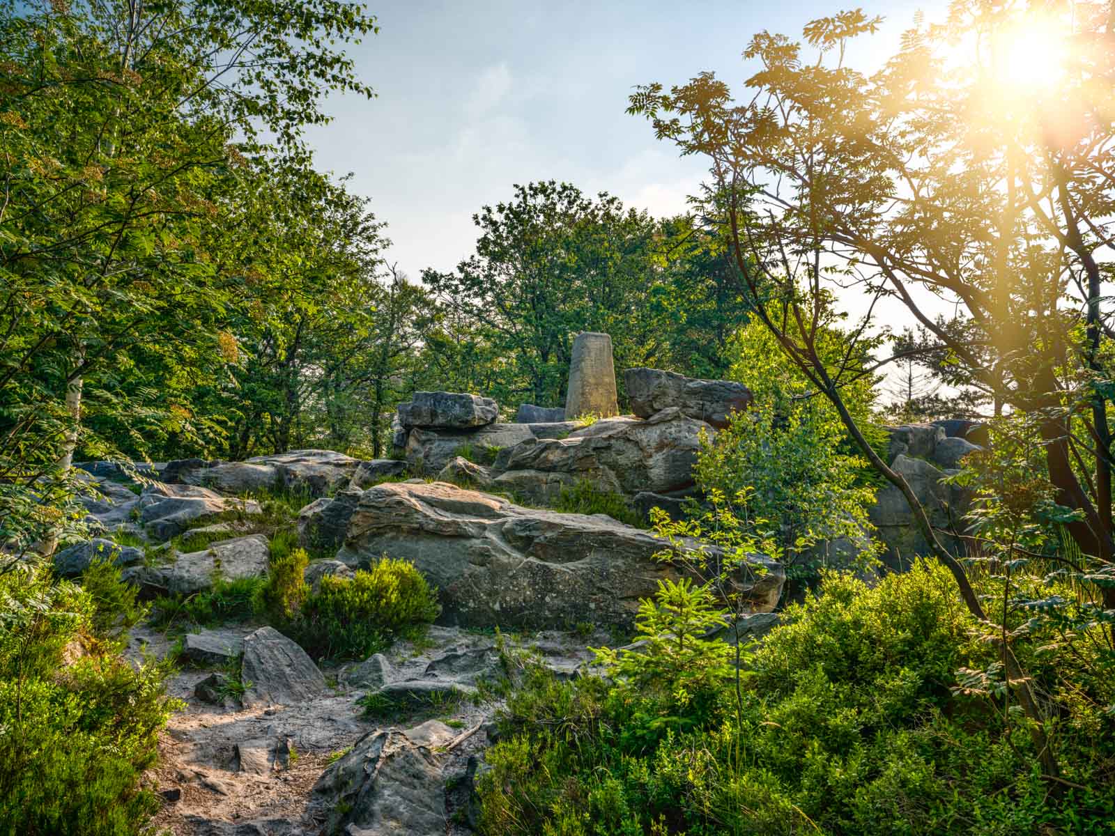 Lippischer Velmerstot about 441.4 meters above sea level (Lippe, Germany).