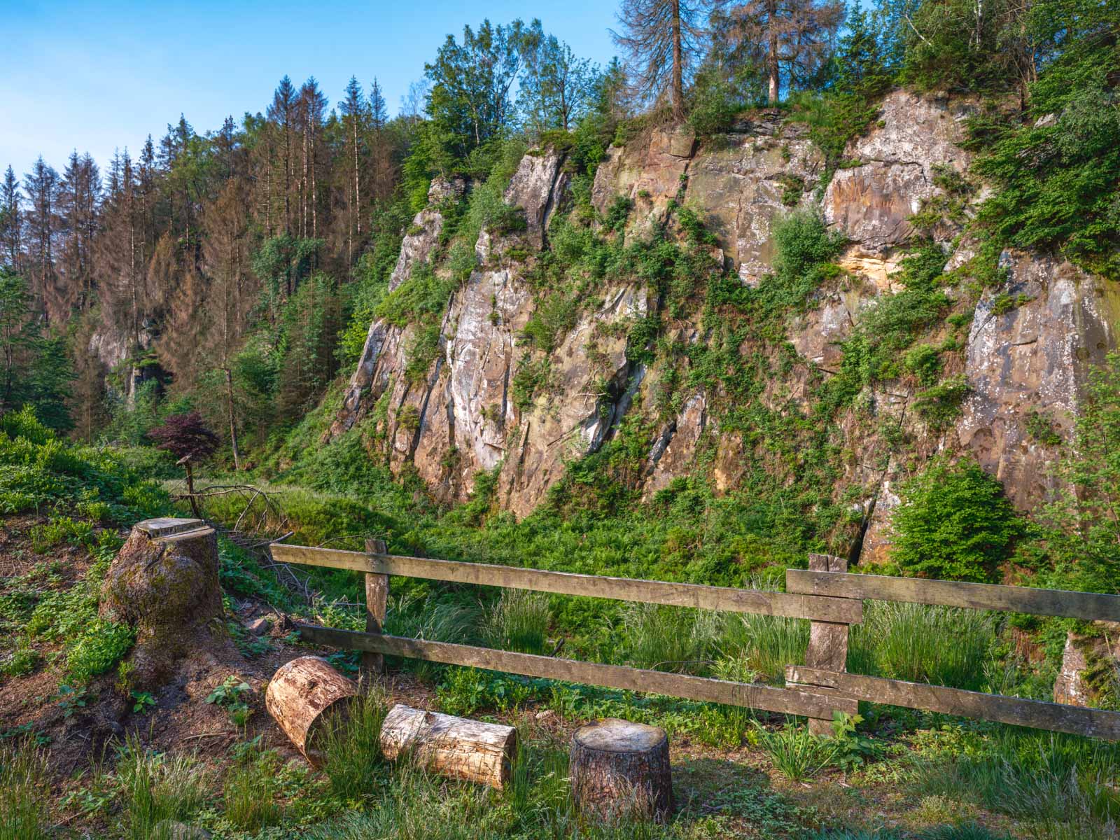 Old quarry under the Velmerstot summit (Lippe, Germany).