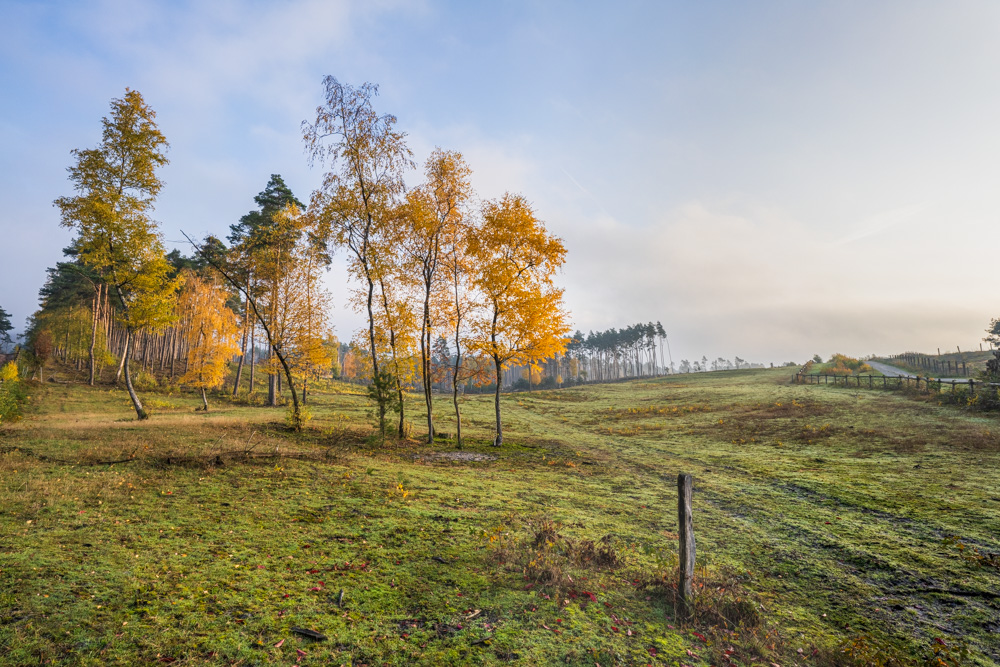 Autumn at the Wistinghauser Senne