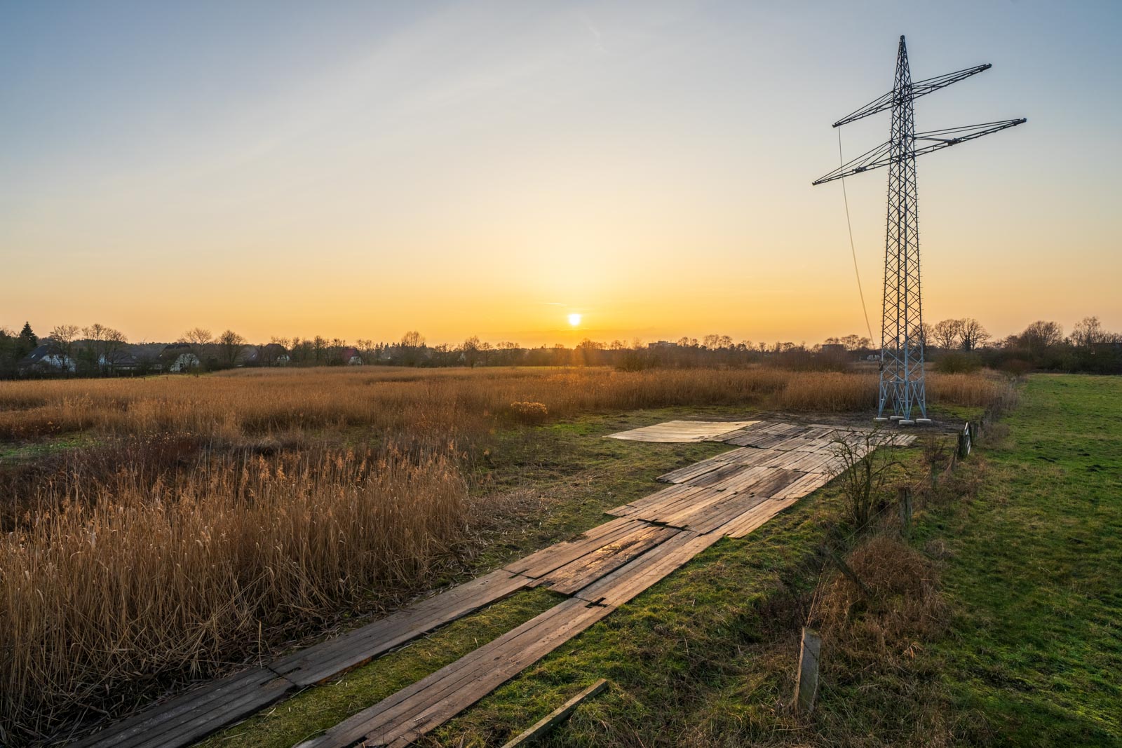 Evening in January in the nature reserve 'Rieselfelder Windel'.