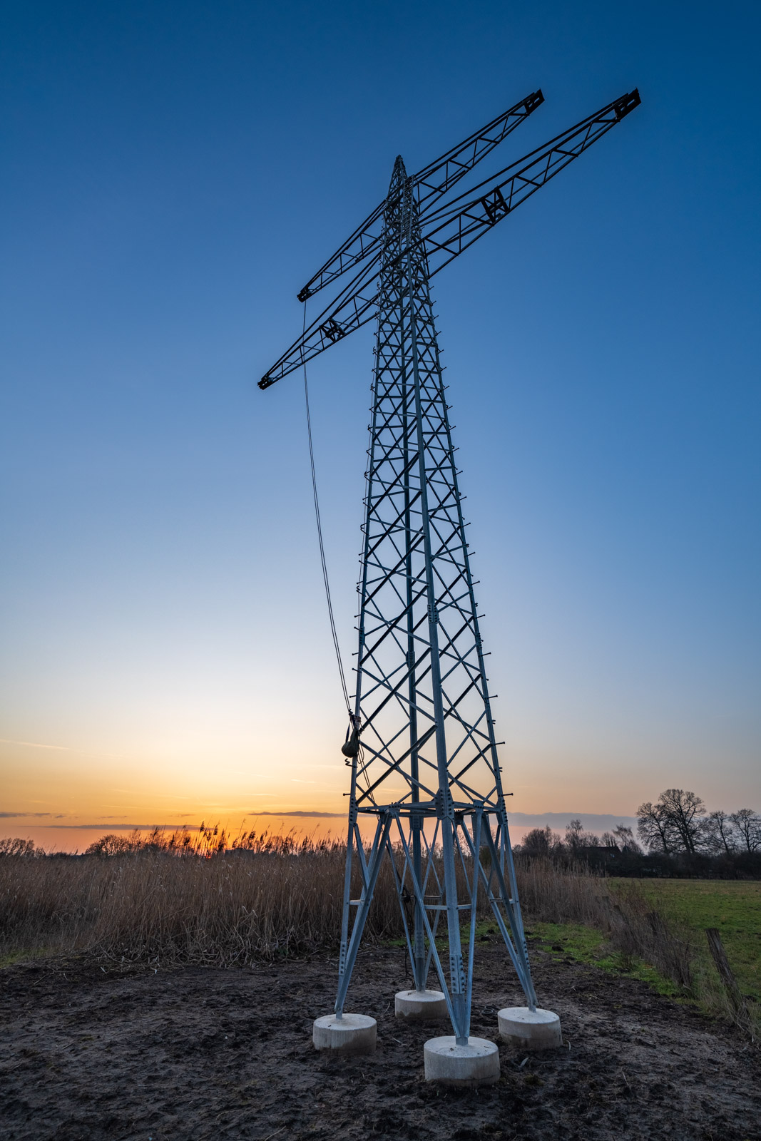 Evening in January in the nature reserve 'Rieselfelder Windel'.