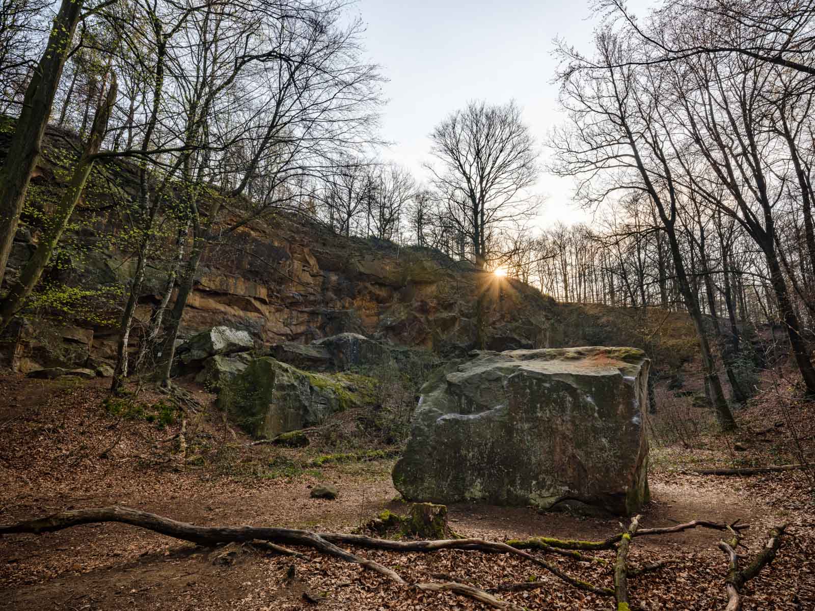 Old quarry in the Teutoburg Forest ('Halleluja' quarry) near Bielefeld (Germany).