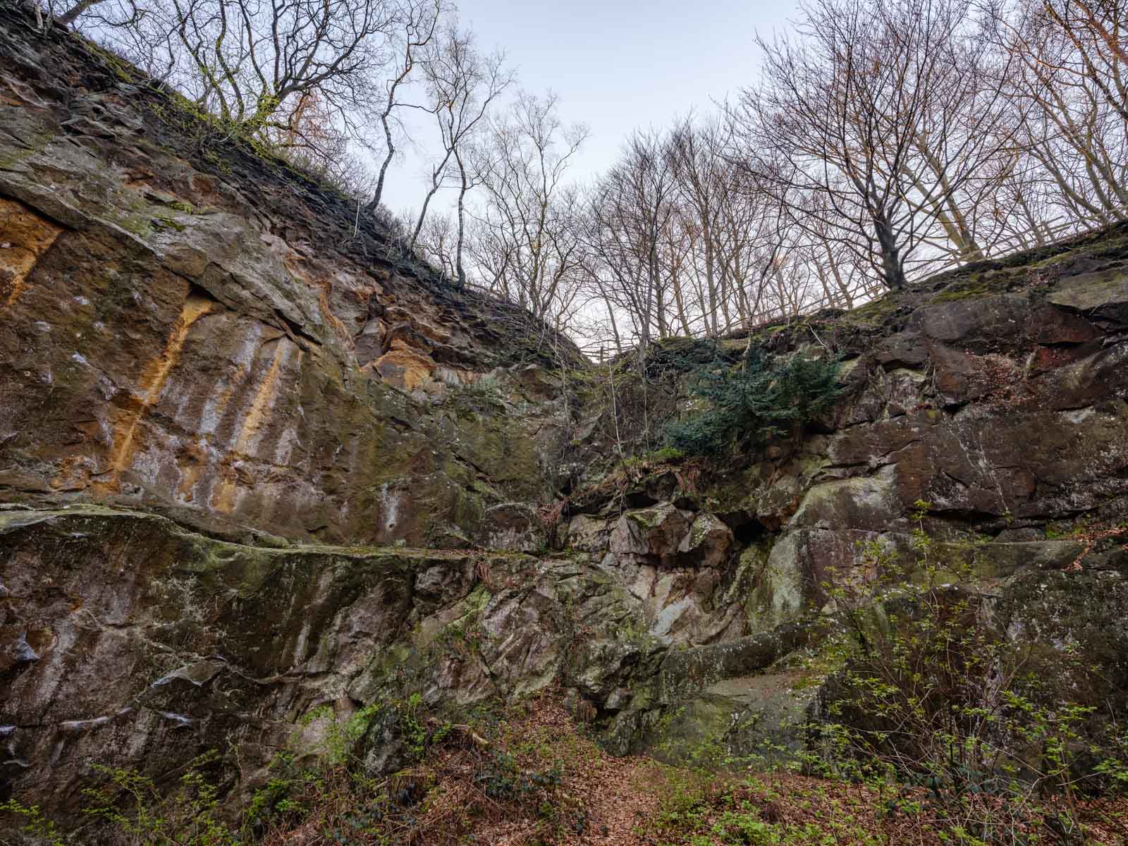 Old quarry in the Teutoburg Forest ('Halleluja' quarry) near Bielefeld (Germany).