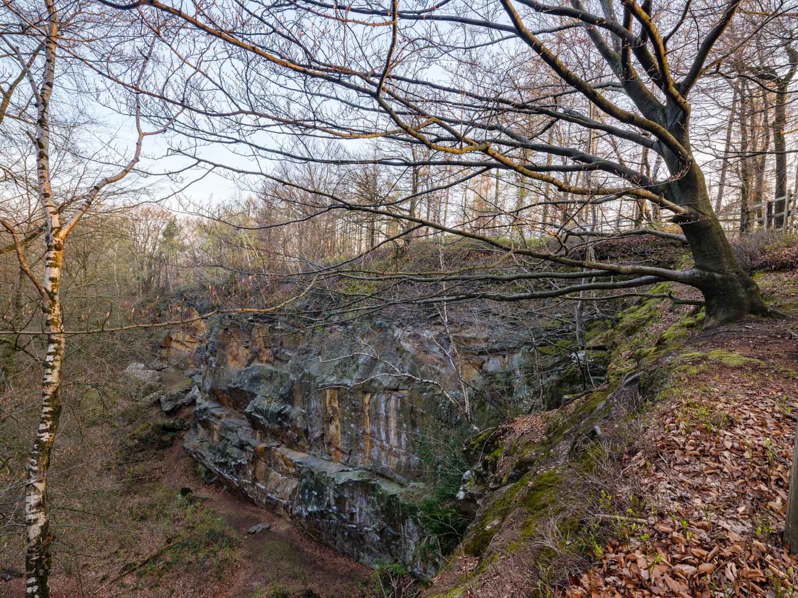 Old quarry in the Teutoburg Forest ('Halleluja' quarry) near Bielefeld (Germany).