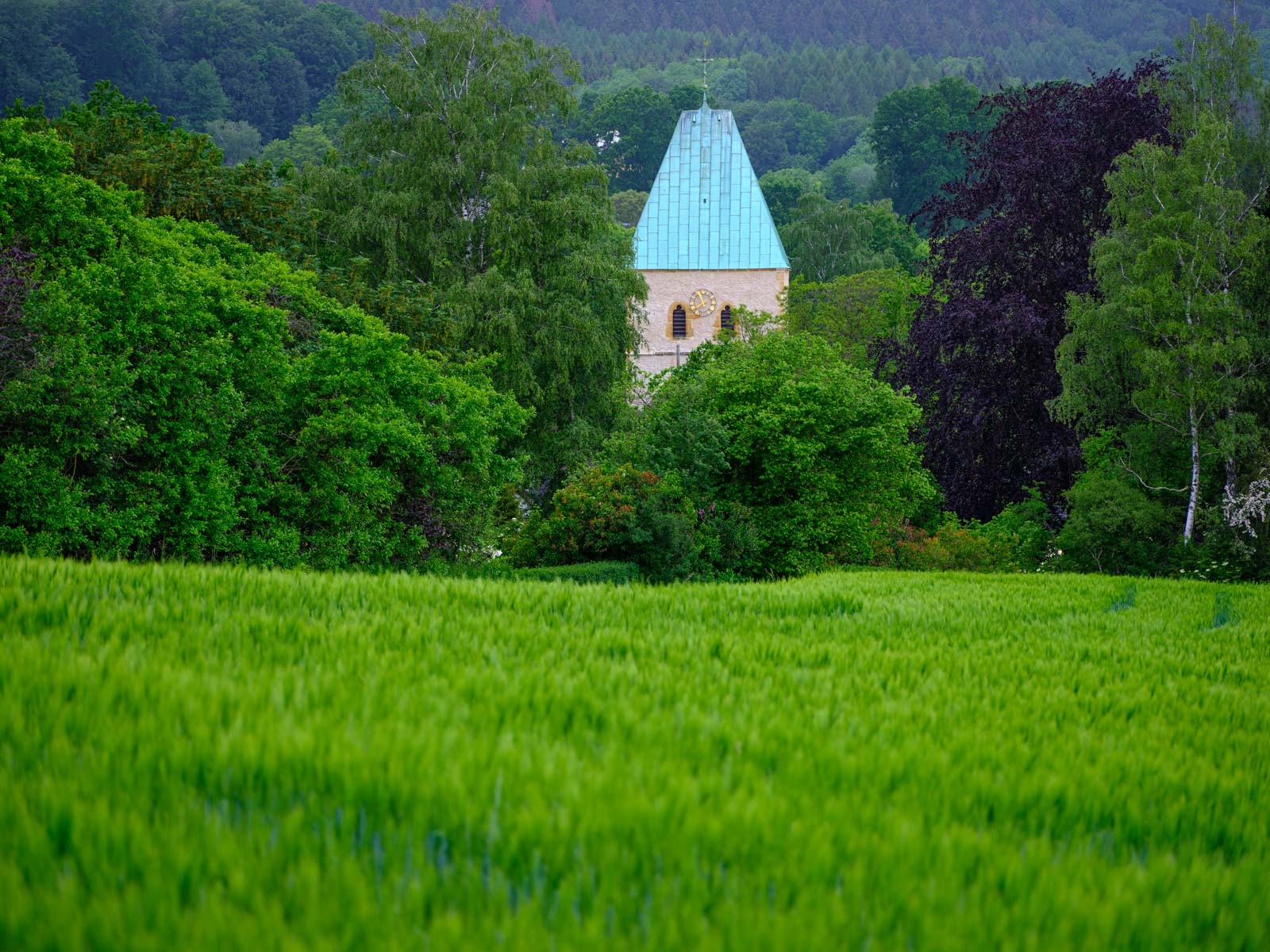 Fields and tower of the church 'St. Peter zu Kirchdornberg' (Bielefeld, Germany).