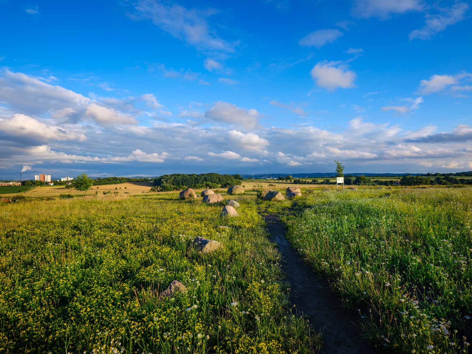 Landscape with erratic rocks at 'Johannisbach' in July 2020 (Bielefeld, Germany).