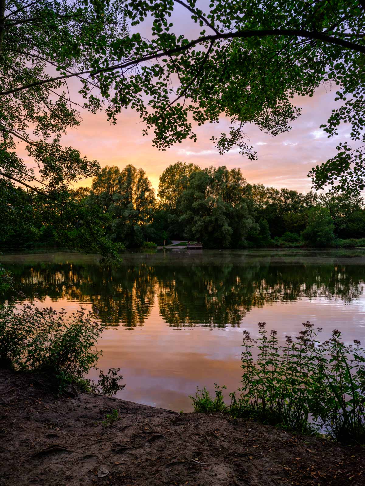 Sunset at 'Bockschatzteich' in August 2020 (Bielefeld-Brackwede, Germany).