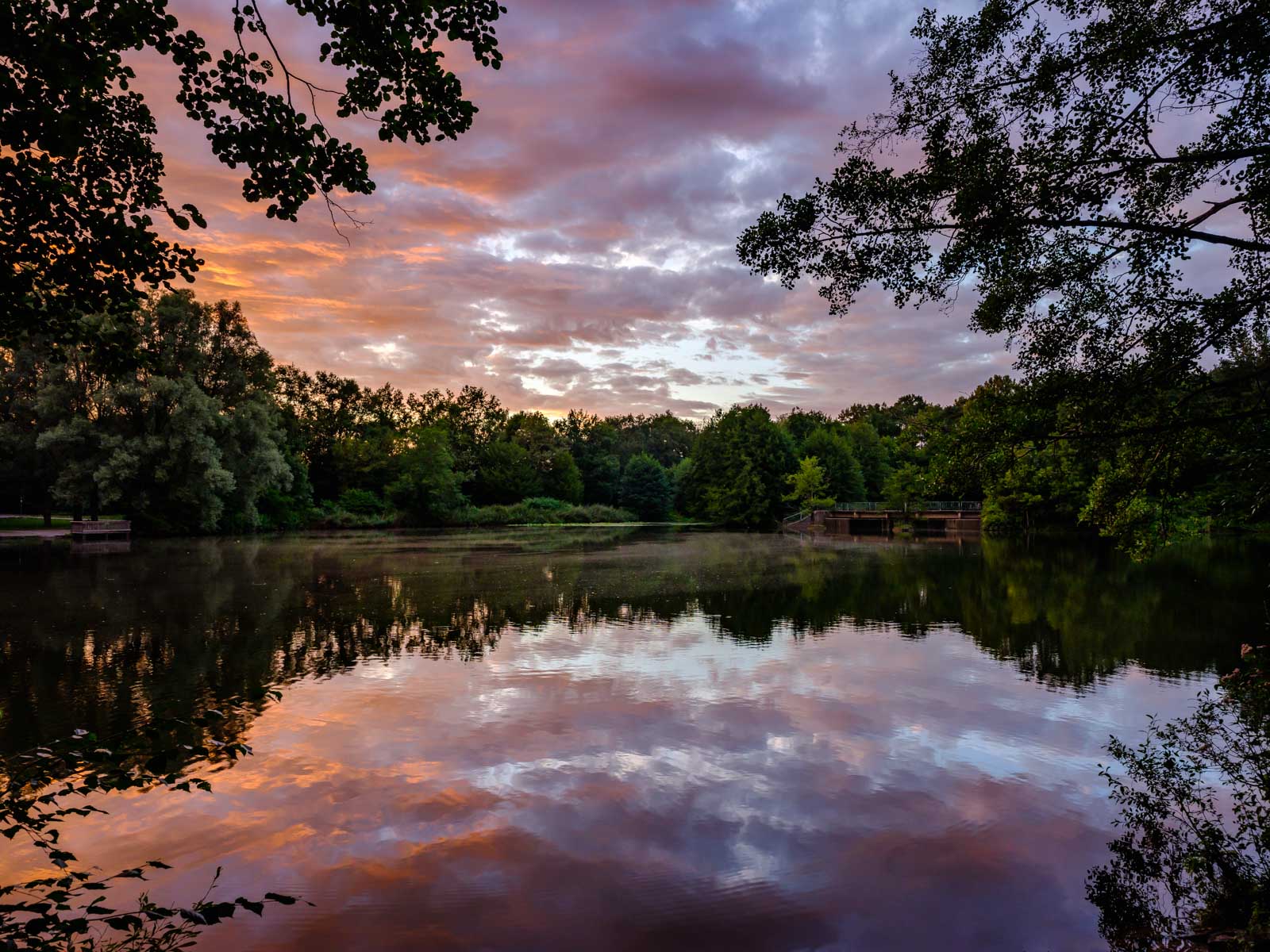 Sunset at 'Bockschatzteich' in August 2020 (Bielefeld-Brackwede, Germany).