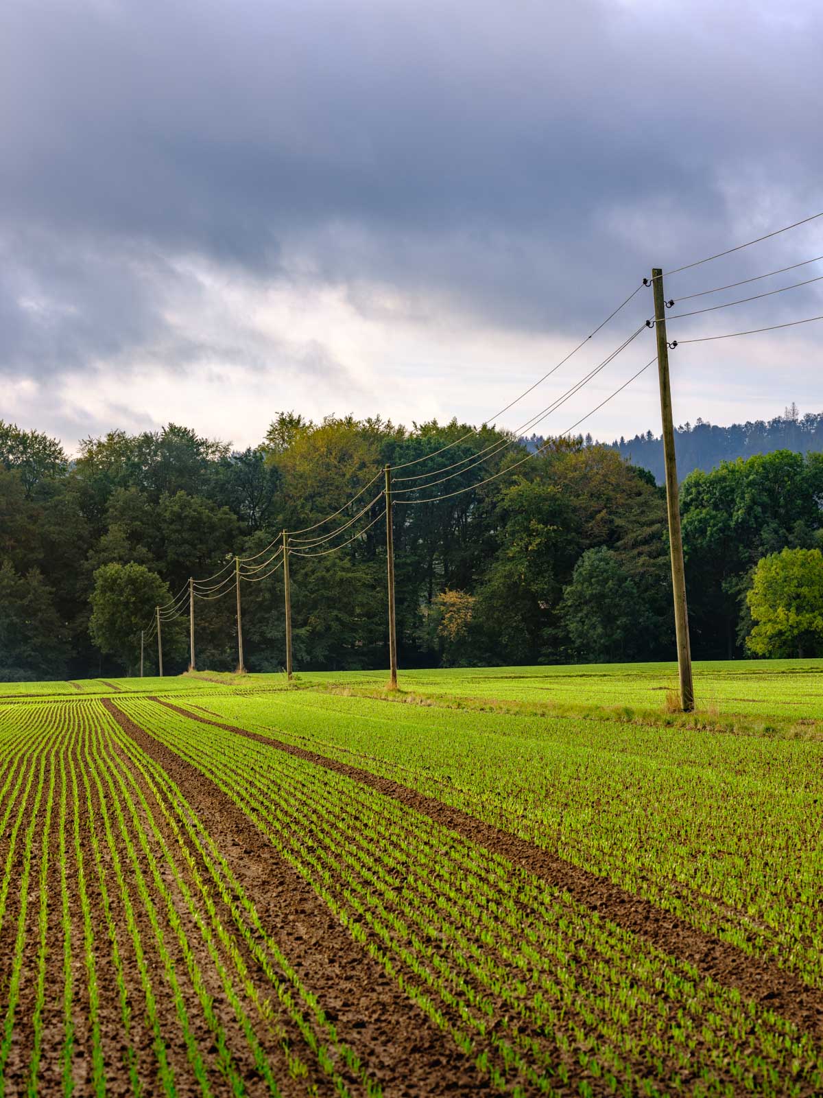 Overhead line on a field near 'Kirchdornberg' in October 2020 (Bielefeld, Germany).