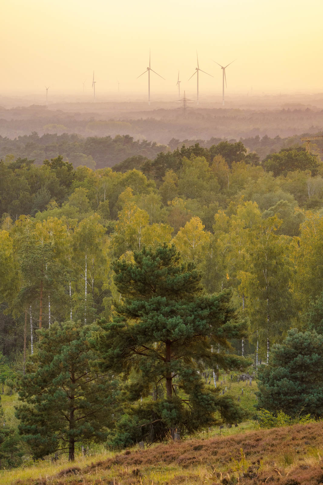 Wind turbines in the Teutoburg Forest at dusk in September 2020 (Oerlinghausen, Germany).