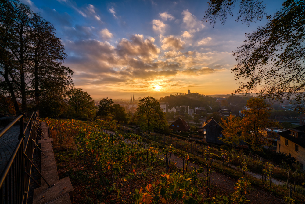 Johannisberg (Bielefeld) - Autumn sunrise