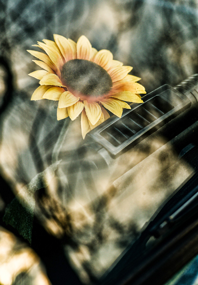 windscreen flower