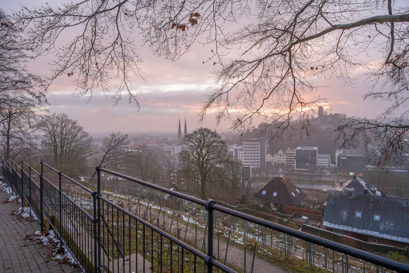 Winter morning in January 2021 on the 'Johannisberg' shortly after sunrise (Bielefeld, Germany).