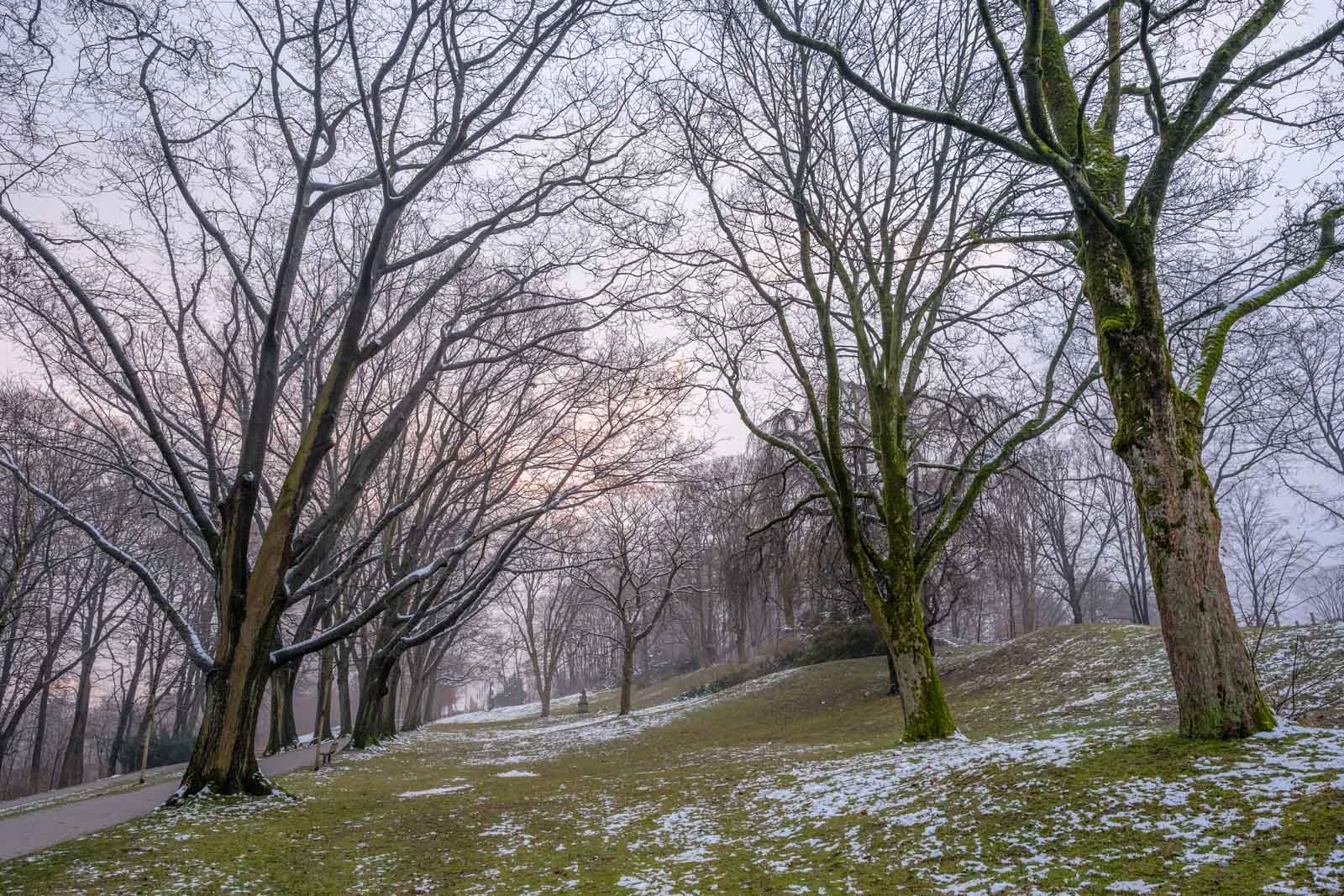 Winter morning in January 2021 on the 'Johannisberg' shortly after sunrise (Bielefeld, Germany).