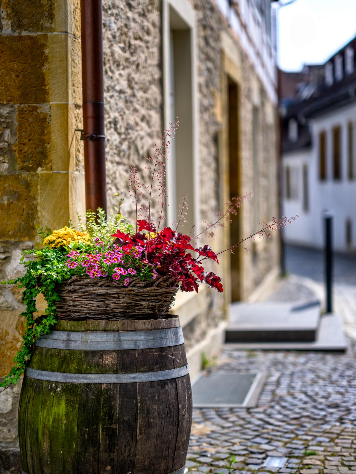 Flowers at the Waldhof in July 2021 (Bielefeld, Germany).