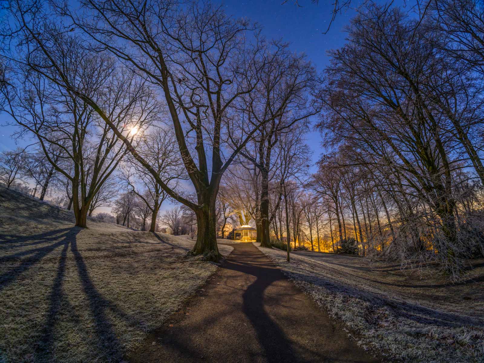 Moonlight in winter park at the 'Johannisberg' (Bielefeld, Germany).
