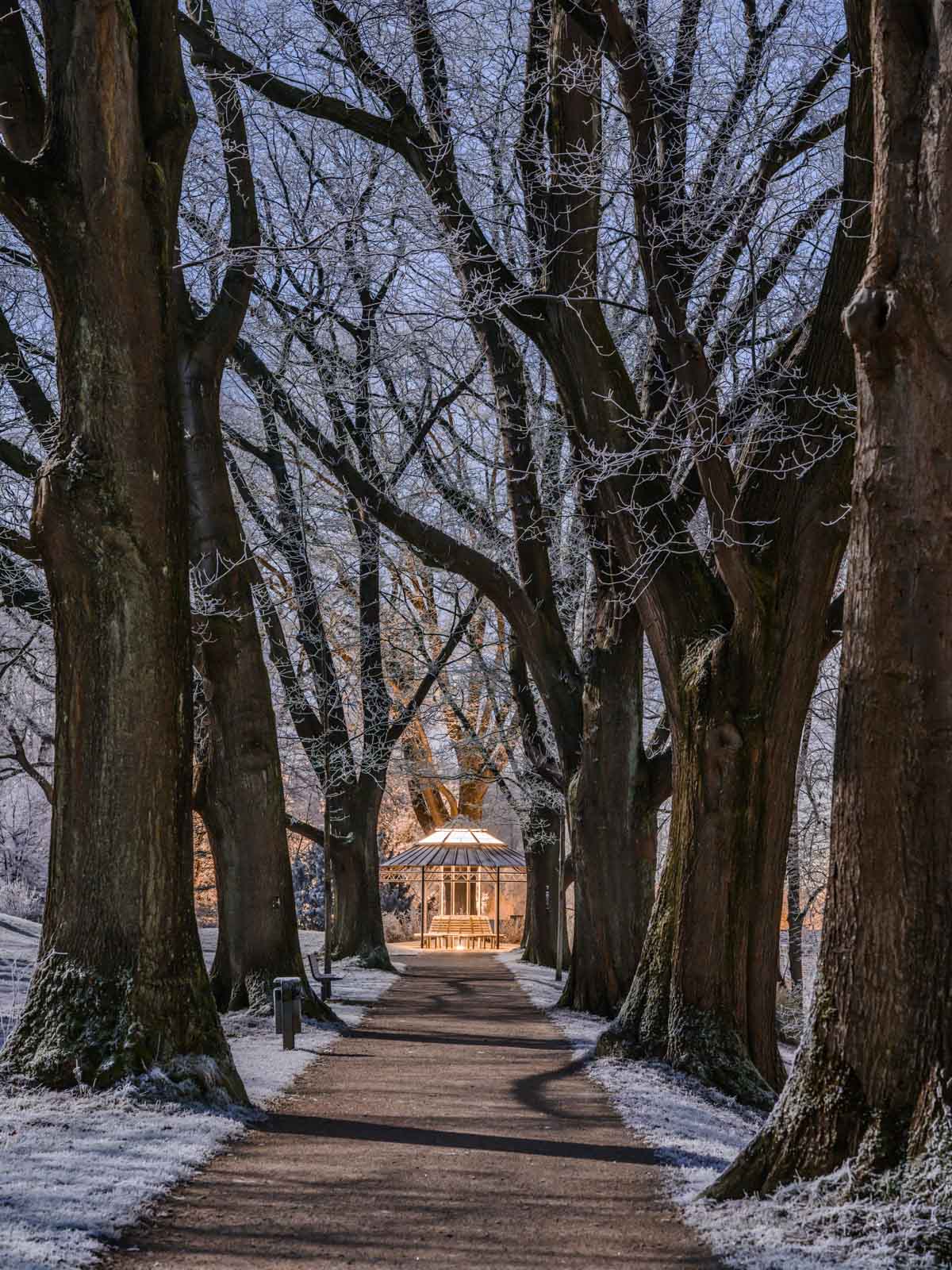 Silent winter night in the park at the 'Johannisberg' (Bielefeld, Germany).