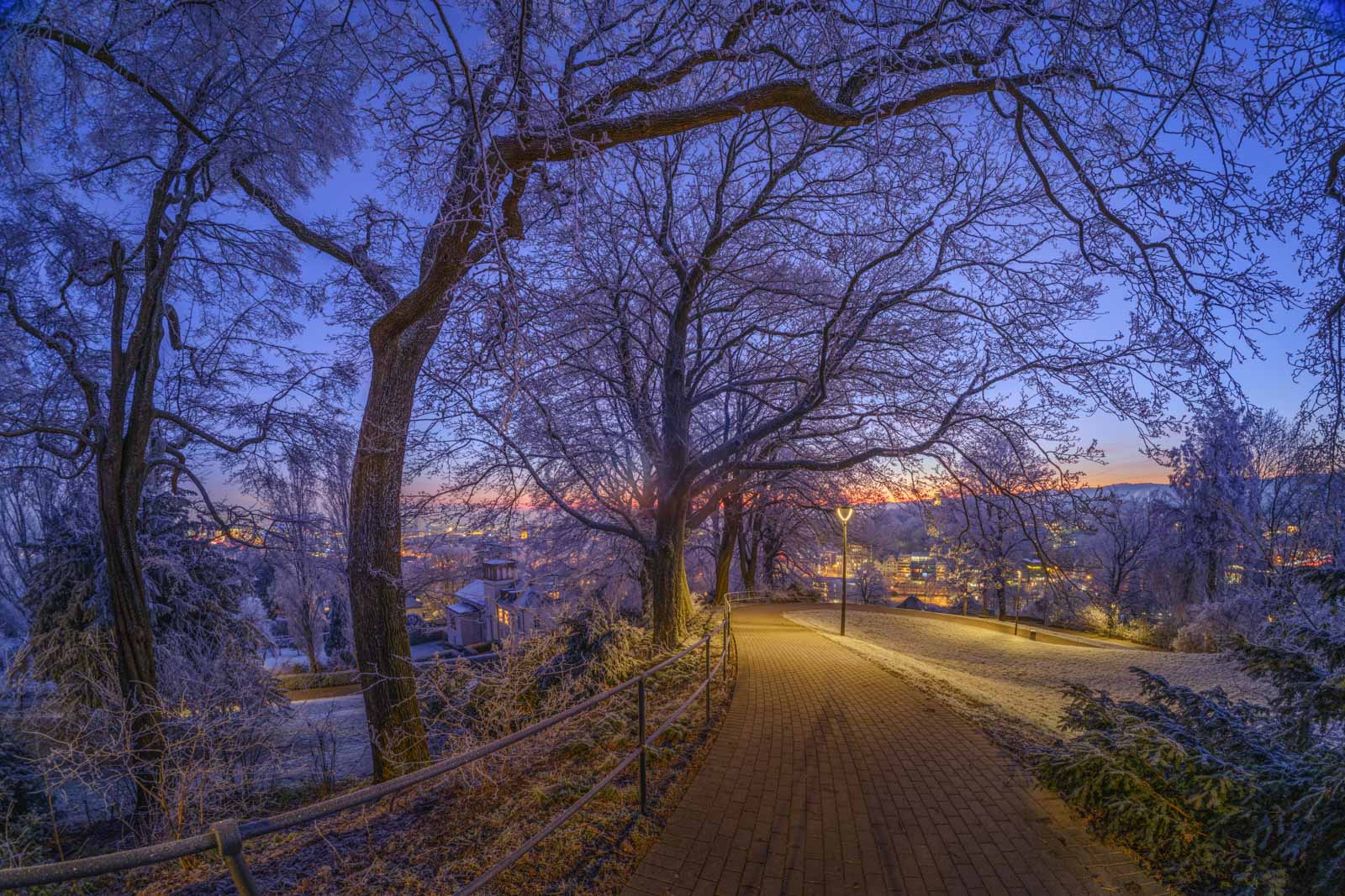 December morning on the 'Johannisberg' (Bielefeld, Germany).