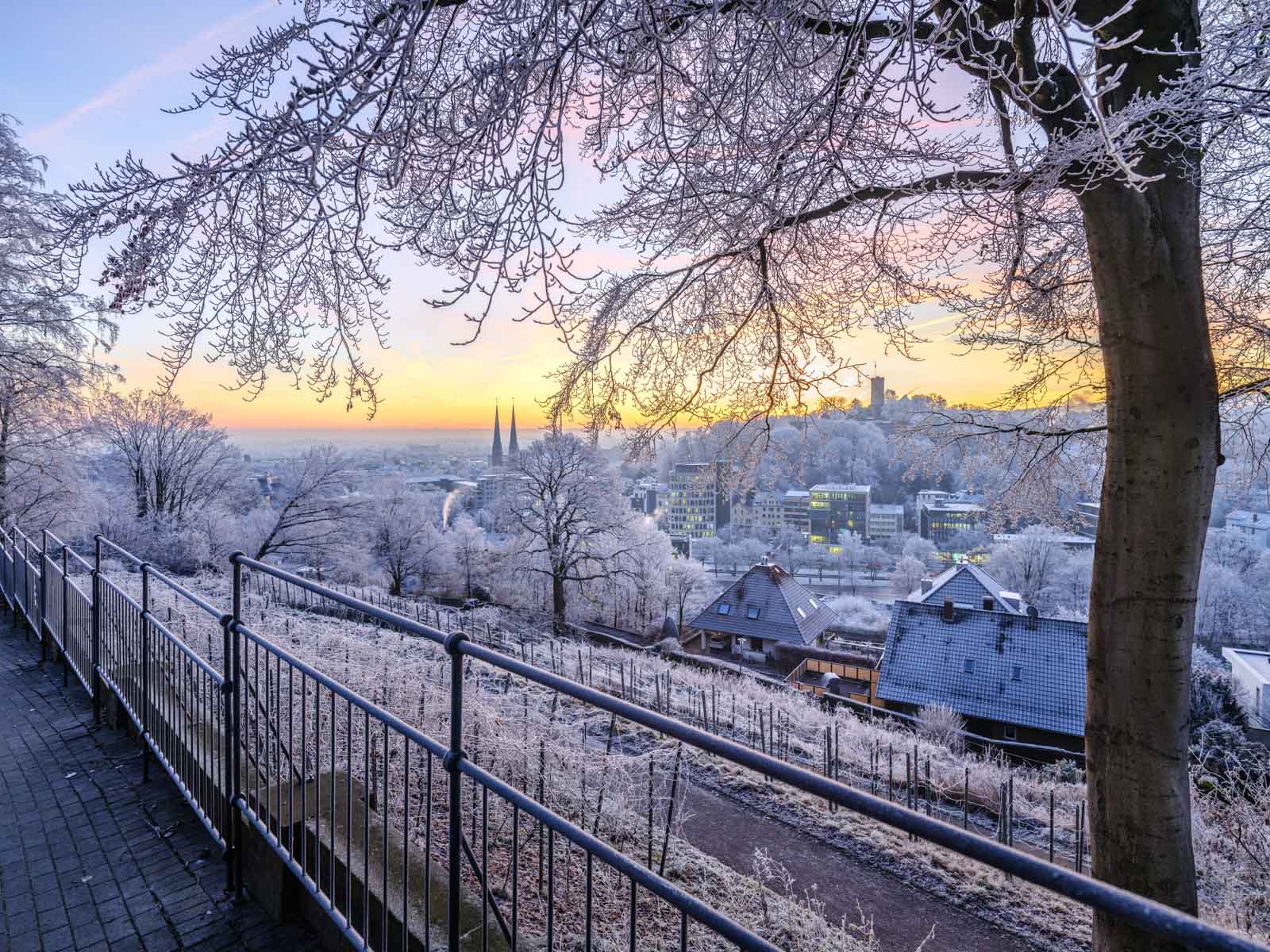 Dawn on the 'Johannisberg' on a morning in December 2021 (Bielefeld, Germany).