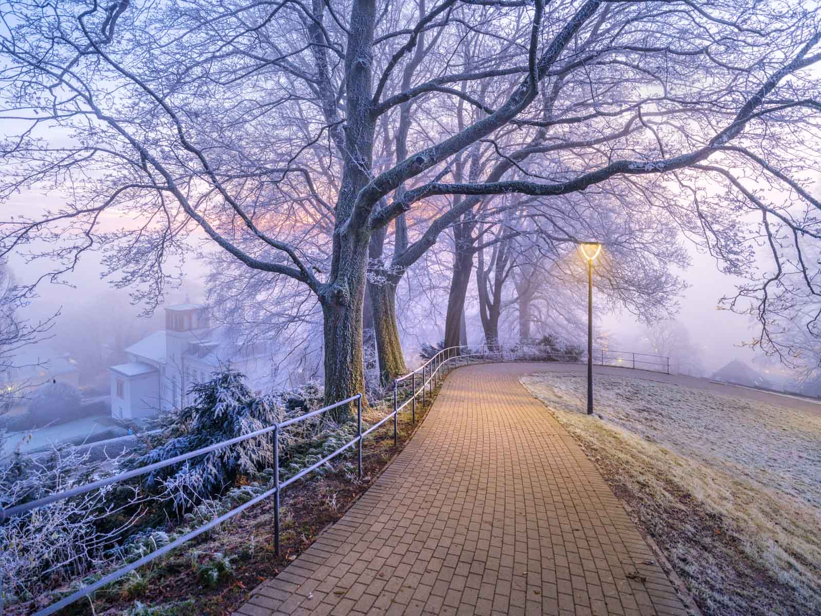 December morning on the 'Johannisberg' (Bielefeld, Germany).