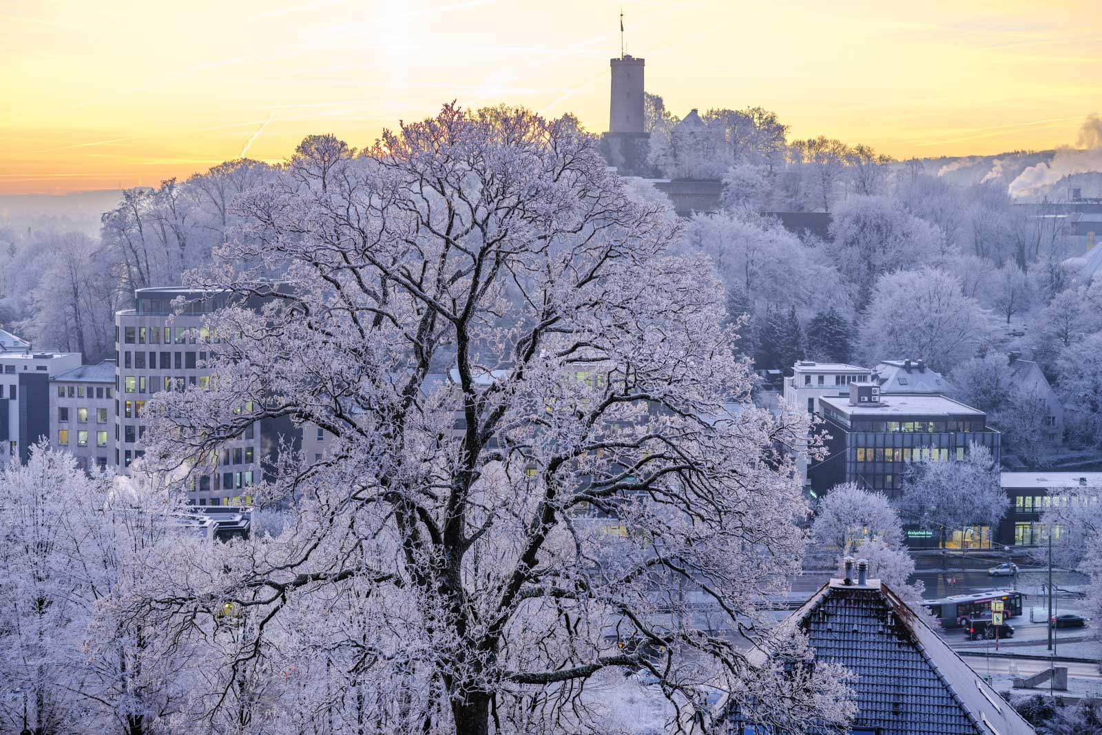 Hoarfrost covered trees in front of Sparrenburg castle (Bielefeld, Germany).